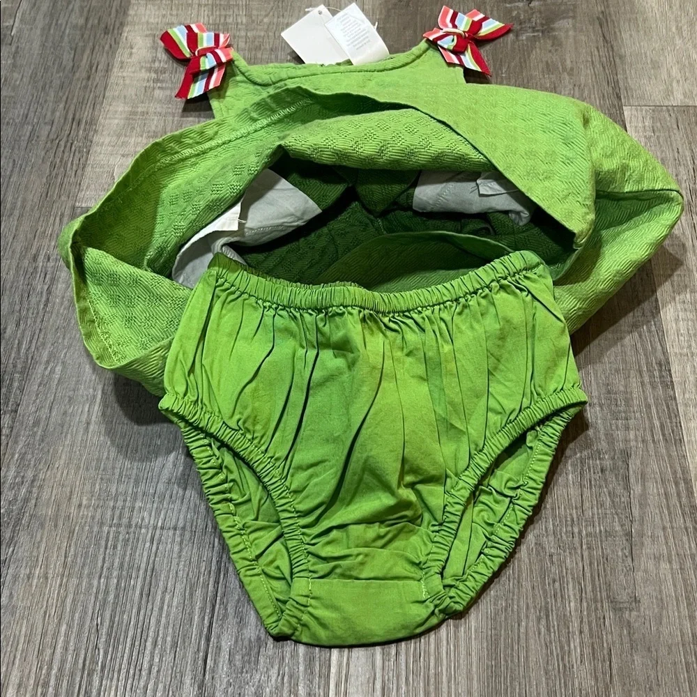 NWT Vintage Gymboree dress w/bloomers size 2T Spring 2011